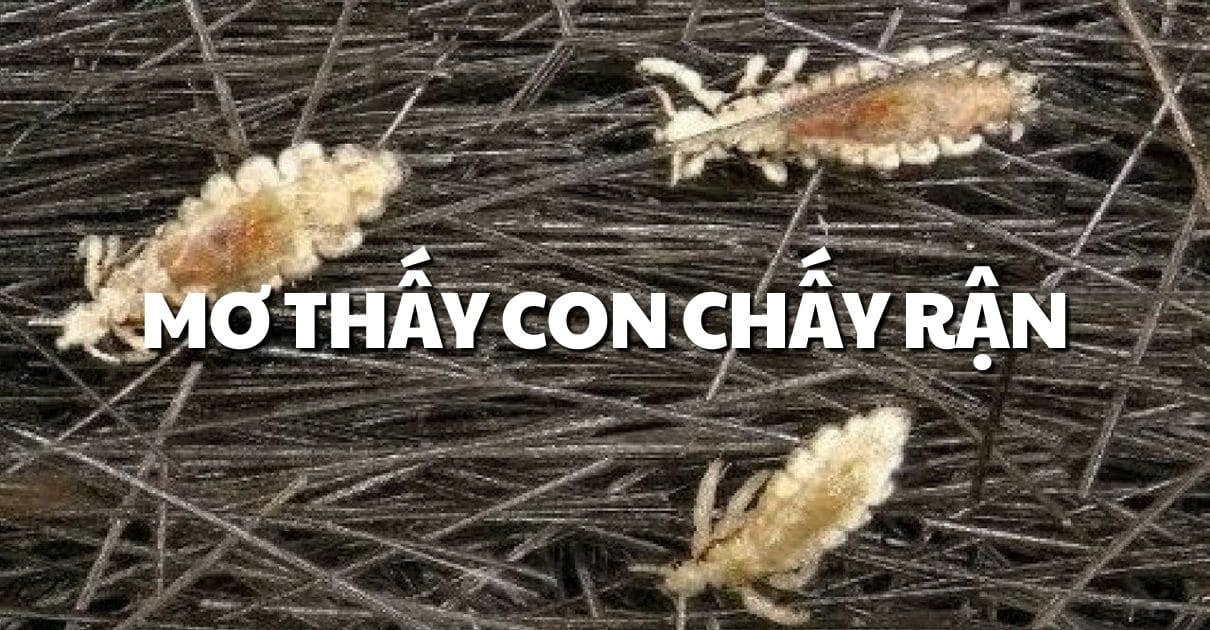 nam-mo-thay-chay-tren-dau-nguoi-khac